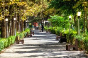 معیار انتخاب بهترین پارک در رفسنجان